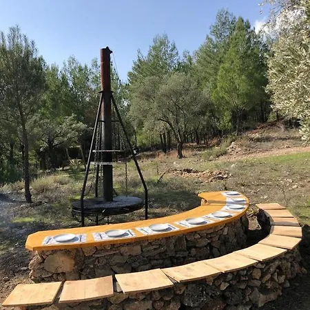 酒店 Mylasa Farm And *